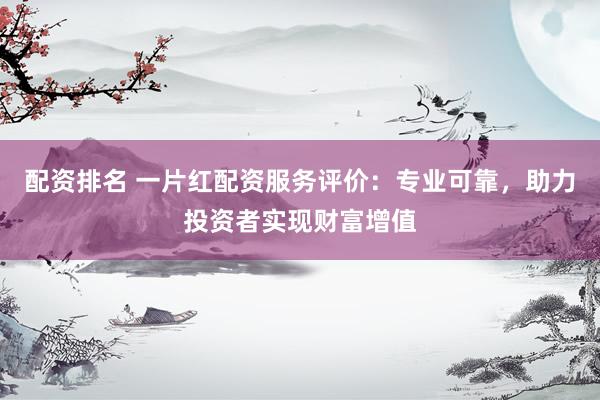 配资排名 一片红配资服务评价：专业可靠，助力投资者实现财富增值