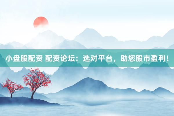 小盘股配资 配资论坛：选对平台，助您股市盈利！