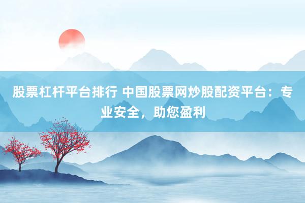 股票杠杆平台排行 中国股票网炒股配资平台：专业安全，助您盈利