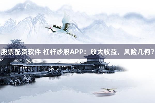 股票配资软件 杠杆炒股APP：放大收益，风险几何？