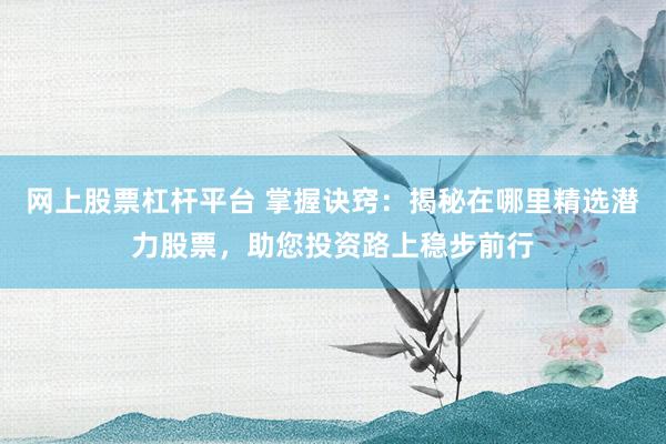 网上股票杠杆平台 掌握诀窍：揭秘在哪里精选潜力股票，助您投资路上稳步前行